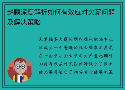 赵鹏深度解析如何有效应对欠薪问题及解决策略